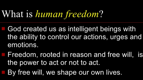 Click to enlarge image Human-freedom-10.PNG