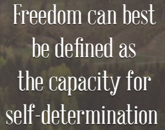 بهترین تعریف آزادی همان داشتن ظرفیت حق تعیین سرنوشت است