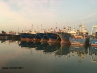 کشتی های ماهیگیری لنگر انداخته در بندرعباس