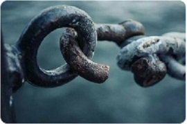 سپید، زرد و بنفش، دلم سبزی بهار می خواهد