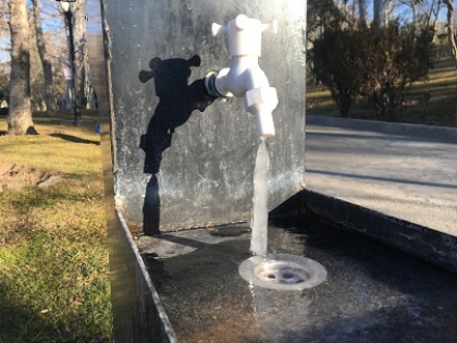 گل های نو شگفته ایی که به مسلخ سرما رفتند