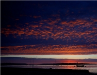 نابودی مرداب و سیلاب های پی در پی