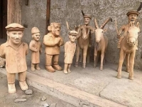 کاش در جماعت مورچگان بودم، تا مشرف به اشرف مخلوقات