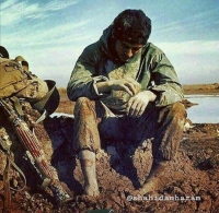 ای محکمات سوره عشق، در باره بسیج