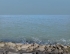 جامدار کاروان ما