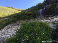 نمایی از قسمتی از آبشار اصلی چشمه نرگس
